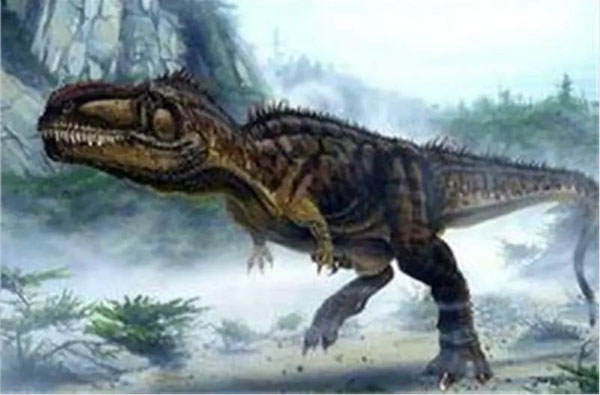 1661929330621049.jpg 3.jpg