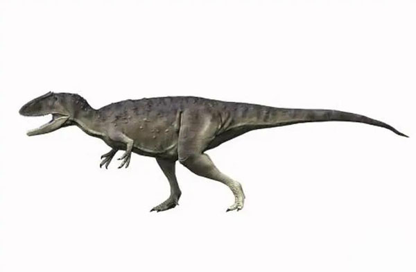 1661929345134153.jpg 5.jpg