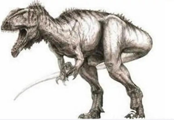 1661929353655565.jpg 6.jpg