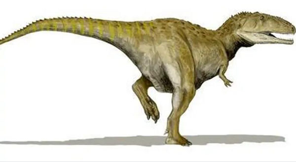 1661929359117363.jpg 7.jpg