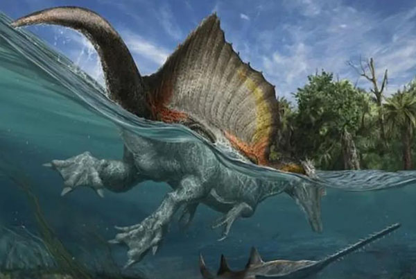 1661929367156298.jpg 8.jpg