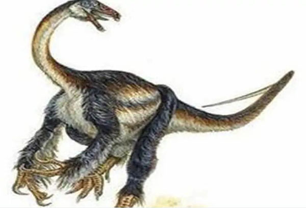 1661929374169883.jpg 9.jpg