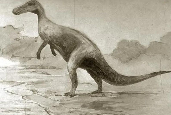 1661929380151551.jpg 10.jpg