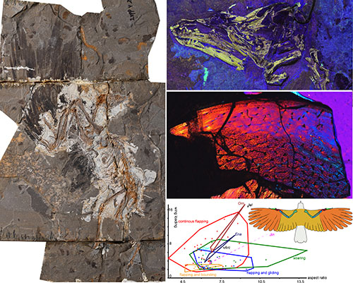 1662712959124369.jpg 1.jpg