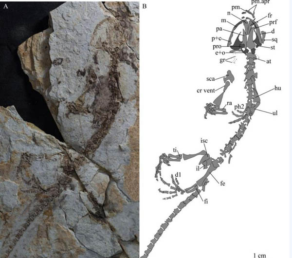 1663050899289776.jpg 1.jpg