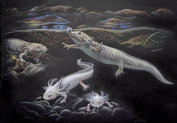 1663050908170601.jpg 2.jpg