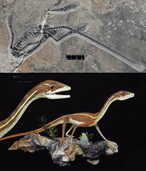 1663051685162500.jpg 1.jpg