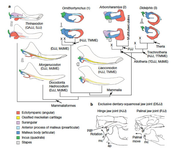 1663054742137818.jpg 2.jpg