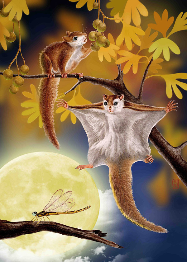 1663054752680261.jpg 3.jpg