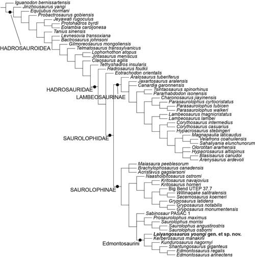 1663055229127613.jpg 3.jpg