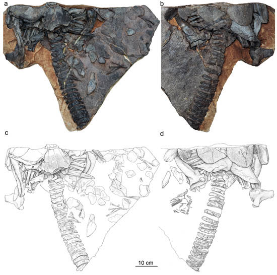 1663141465113452.jpg 1.jpg