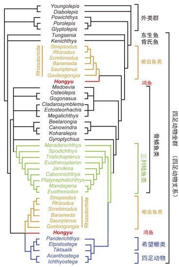 1663141479214108.jpg 3.jpg