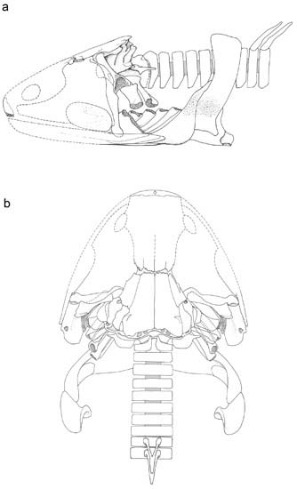 1663141505393613.jpg 2.jpg