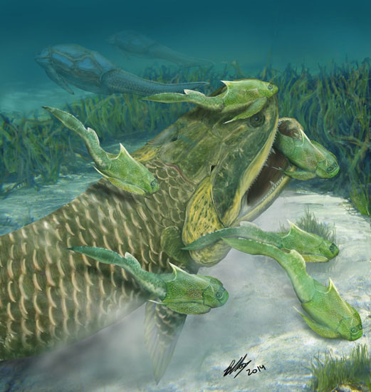 1663141510147883.jpg 4.jpg