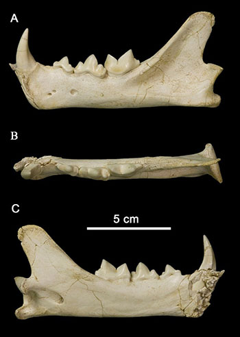 1663141912309394.jpg 2.jpg