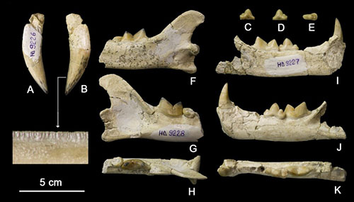 1663141916161495.jpg 3.jpg