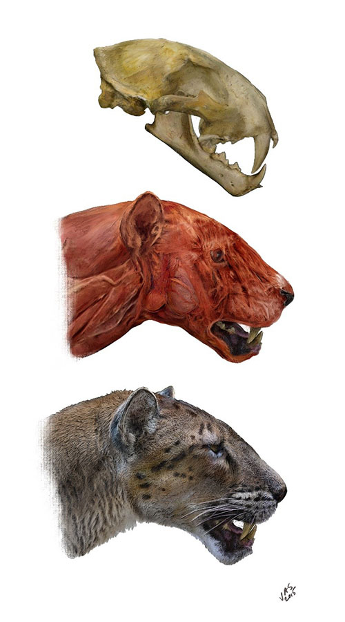 1663141921171166.jpg 4.jpg