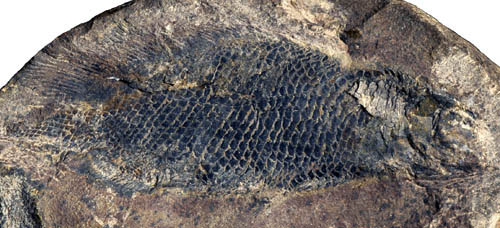 1663142709111738.jpg 1.jpg