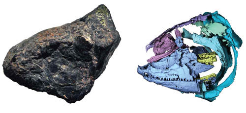 1663142716374454.jpg 2.jpg