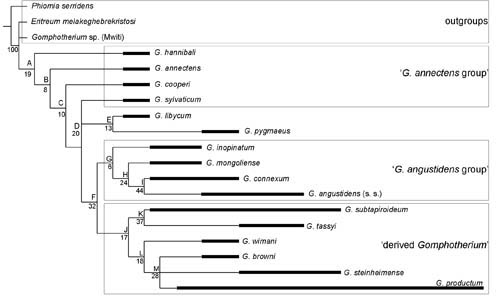 1663143145753565.jpg 1.jpg
