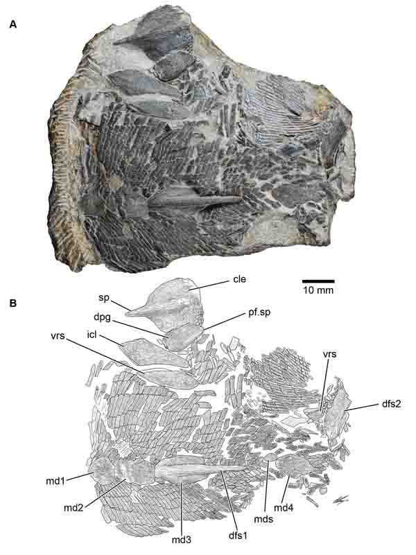 1663144637159775.jpg 1.jpg