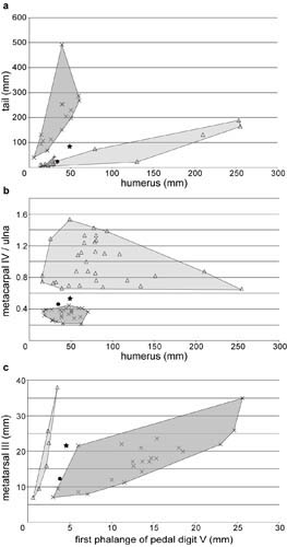 1663144849118327.jpg 3.jpg