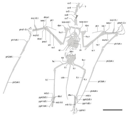 1663144854135947.jpg 2.jpg