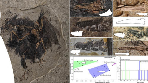 1663145086207061.jpg 1.jpg