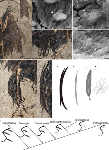 1663145090142596.jpg 2.jpg