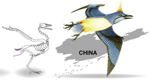 1663145100554922.jpg 4.jpg