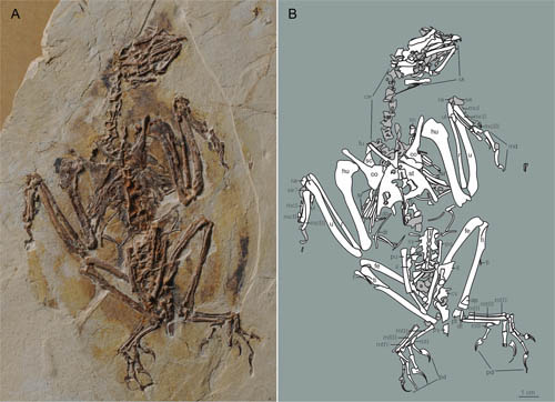 1663315125158495.jpg 1.jpg