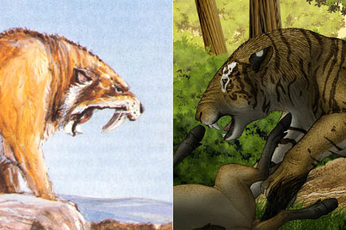 1663316322446127.jpg 4.jpg