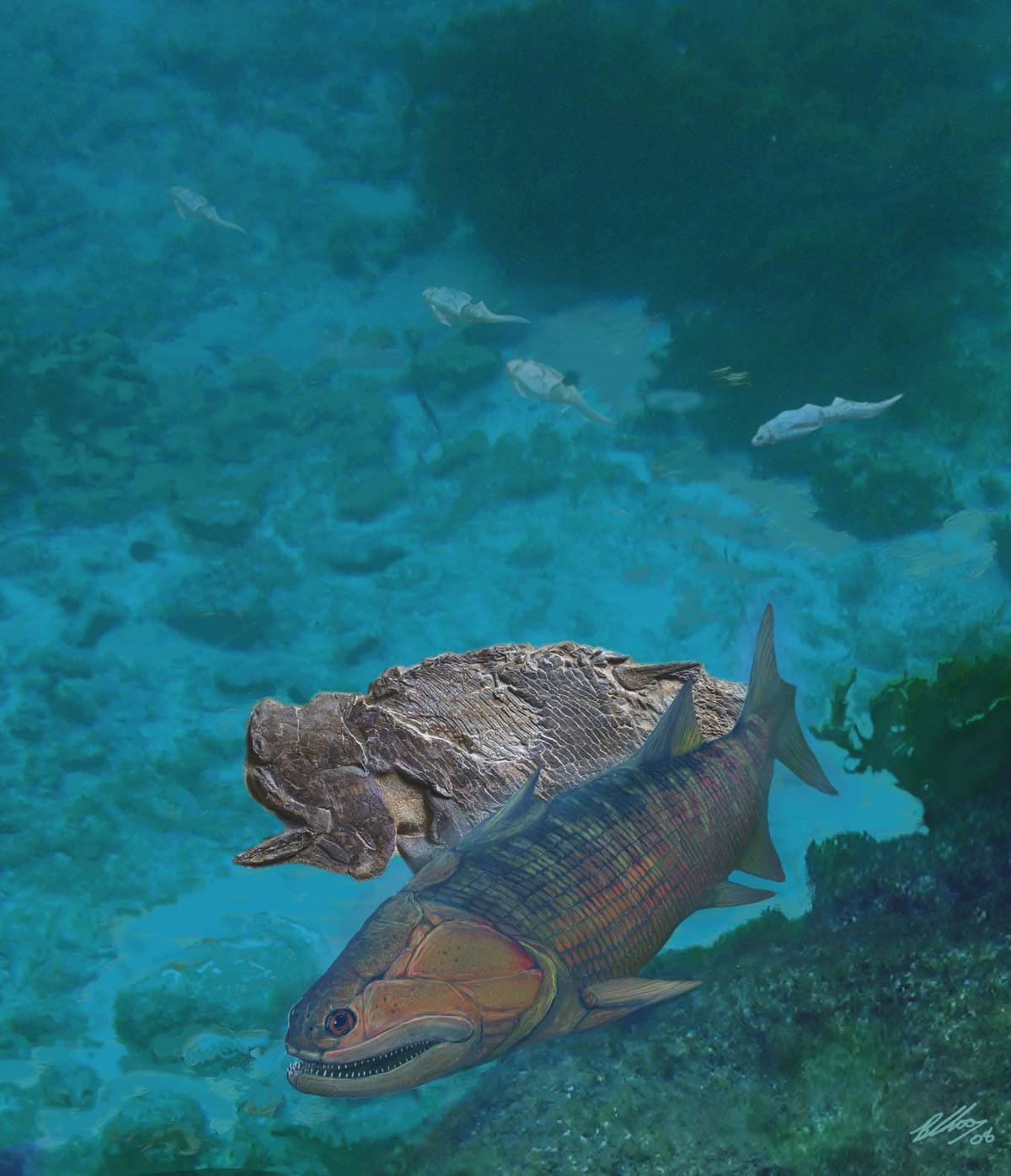 1663317154102542.jpg 1.jpg