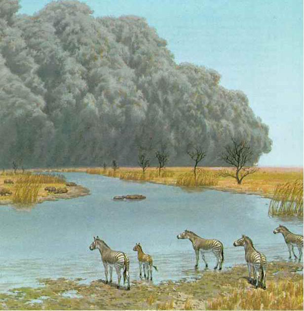 1663577135549212.jpg 1.jpg