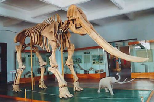 1663748037579191.jpg 3.jpg