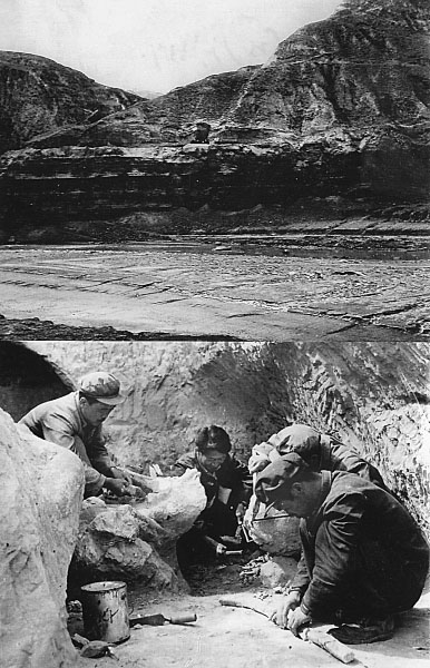 1663748081515888.jpg 2.jpg