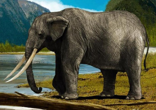 1663748128324642.jpg 4.jpg