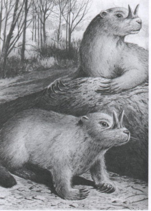 1663748677130839.jpg 1.jpg