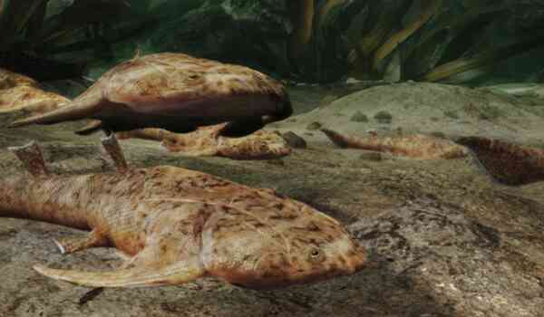 1664435134723080.jpg 1_九雷图片转换器.jpg