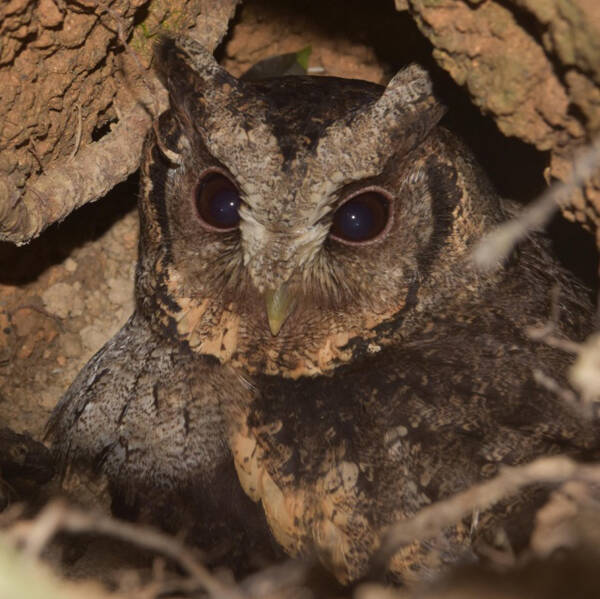 1665714029326023.jpg 3_九雷图片转换器.jpg