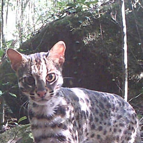 1665714045788287.jpg 4_九雷图片转换器.jpg