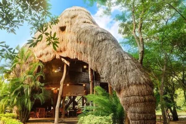 1665995070125316.jpg 8_九雷图片转换器.jpg