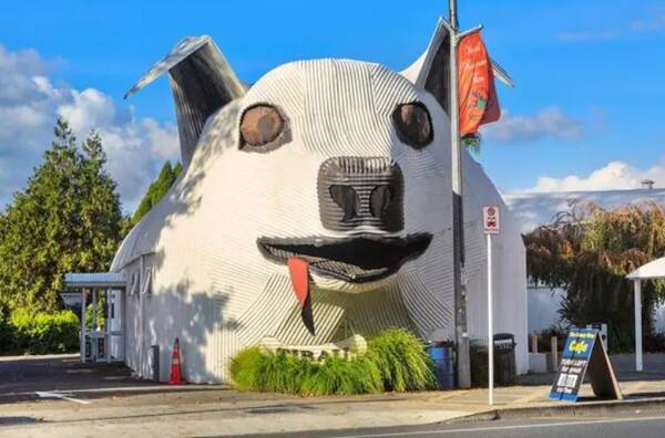 1665995090129496.jpg 10_九雷图片转换器.jpg