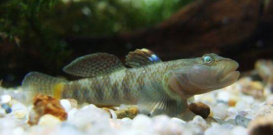 1666687765191886.jpg 4_九雷图片转换器.jpg