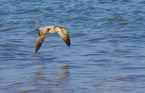 1666688532129595.jpg 2_九雷图片转换器.jpg