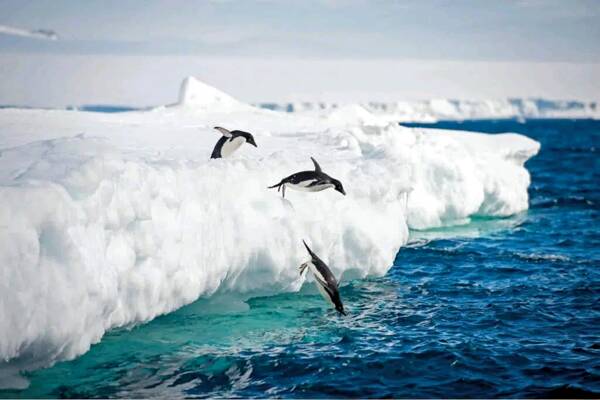 1668485316233956.jpg 5_九雷图片转换器.jpg