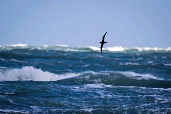 1668485322392960.jpg 6_九雷图片转换器.jpg