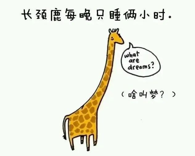 1668495413193648.jpg 2.jpg