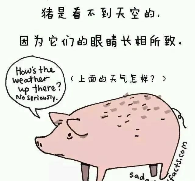 1668495422225075.jpg 3.jpg