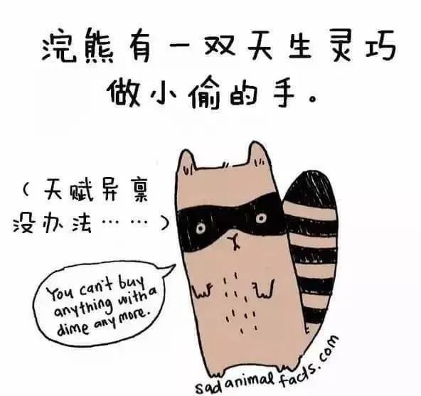 1668495427791615.jpg 4.jpg